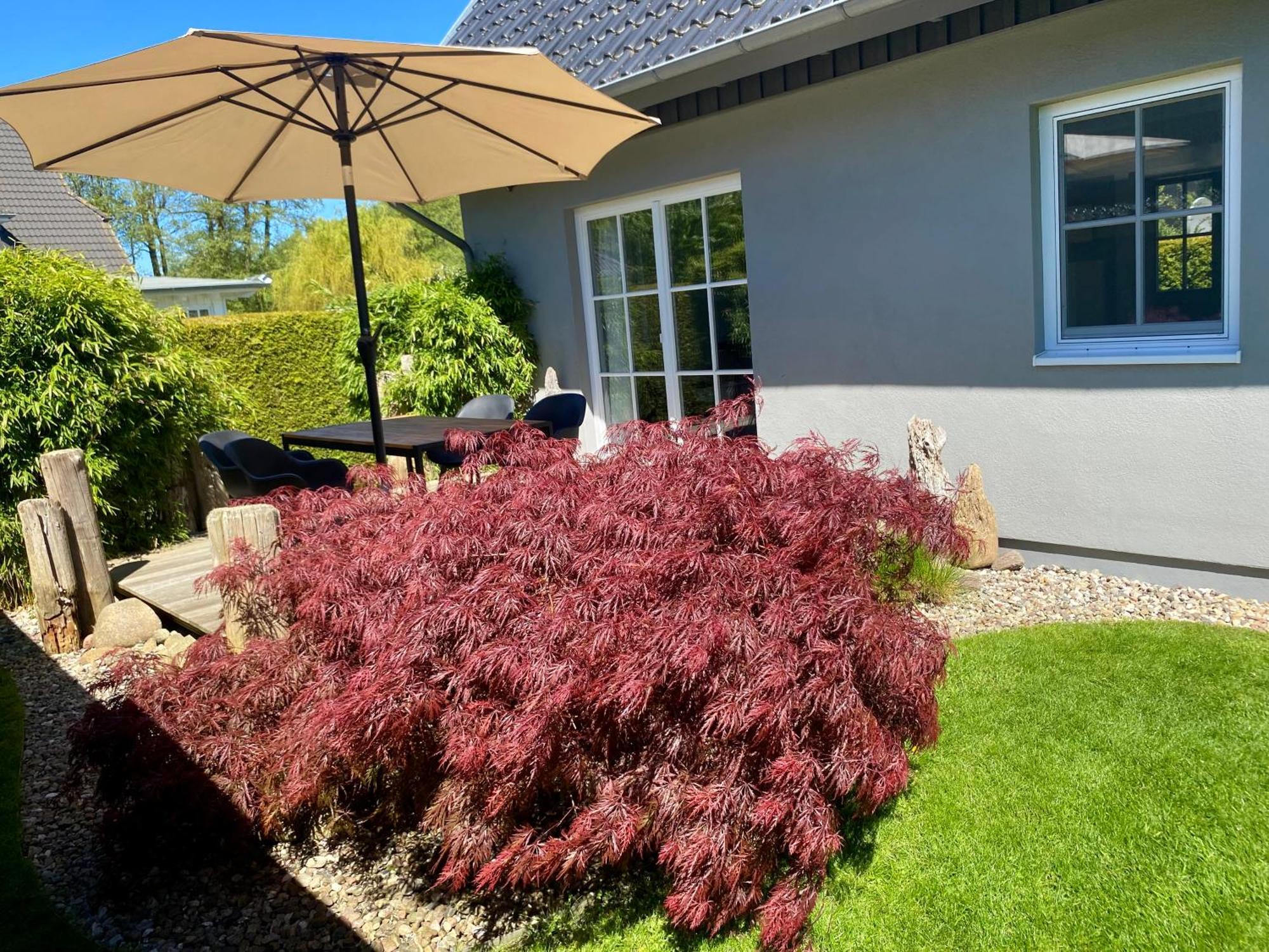 Ferienhaus Buhne 31 Prerow Bagian luar foto